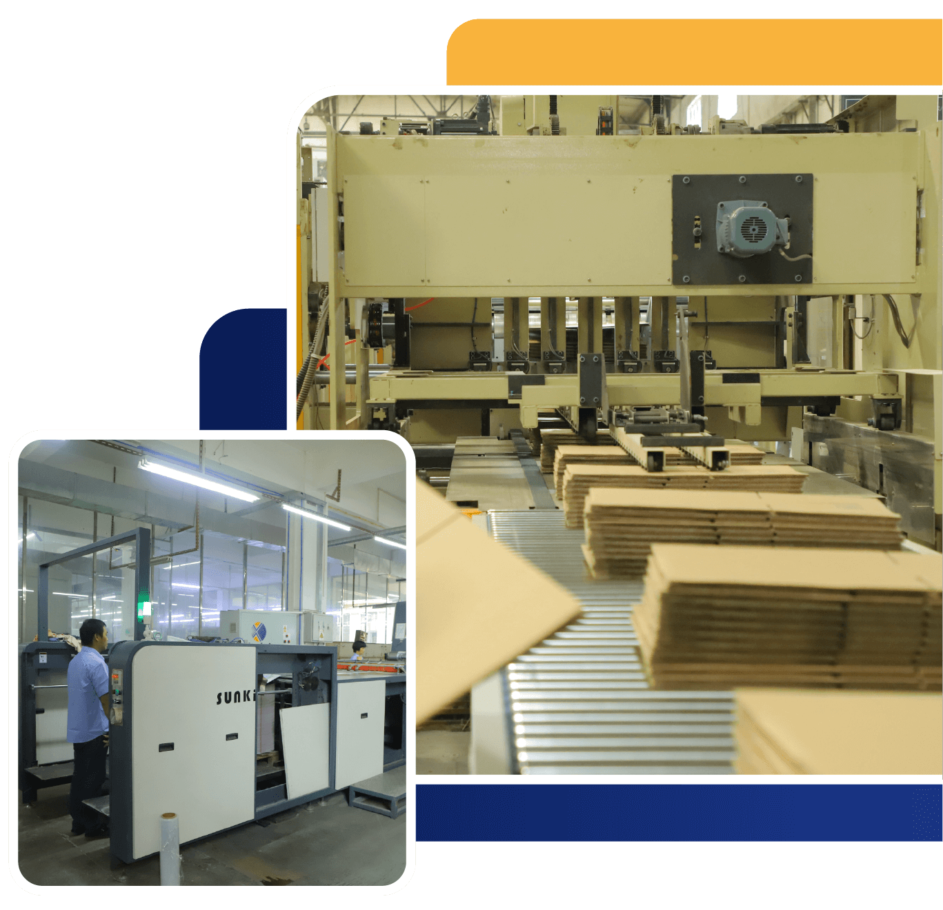 Custom Cardboard Displays